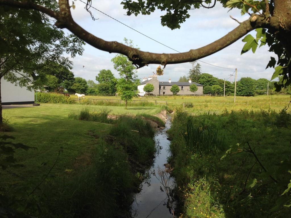 Cartron House Bed & Breakfast Ballinakill  Dış mekan fotoğraf