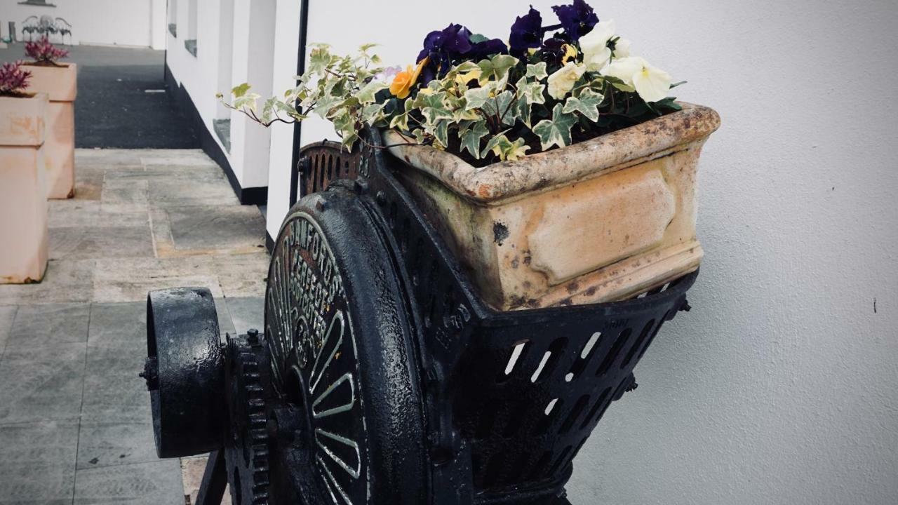 Cartron House Bed & Breakfast Ballinakill  Dış mekan fotoğraf
