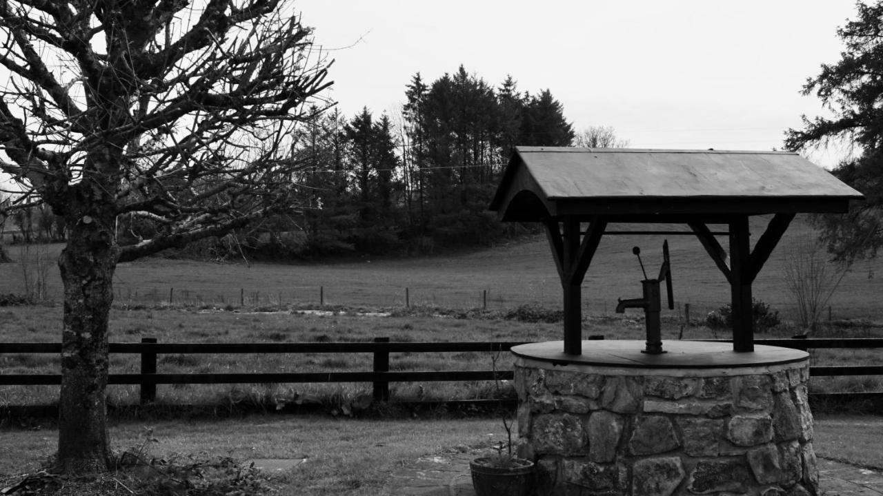 Cartron House Bed & Breakfast Ballinakill  Dış mekan fotoğraf