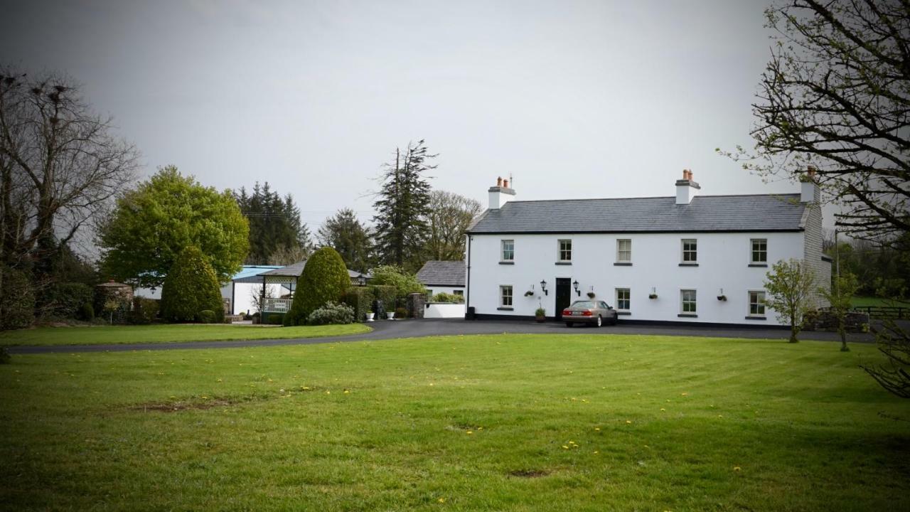 Cartron House Bed & Breakfast Ballinakill  Dış mekan fotoğraf
