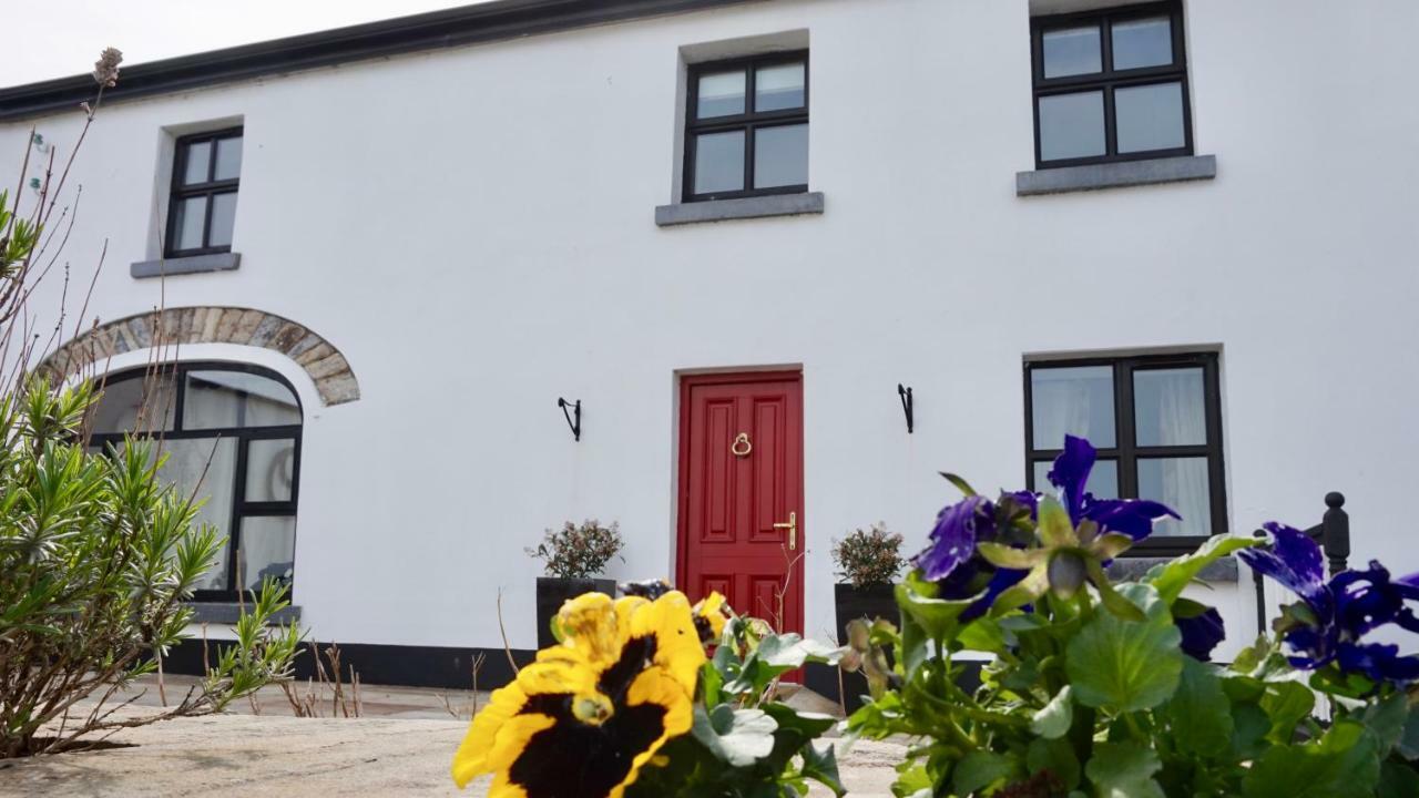 Cartron House Bed & Breakfast Ballinakill  Dış mekan fotoğraf