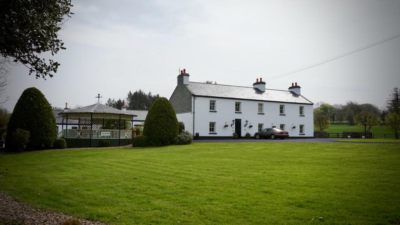 Cartron House Bed & Breakfast Ballinakill  Dış mekan fotoğraf