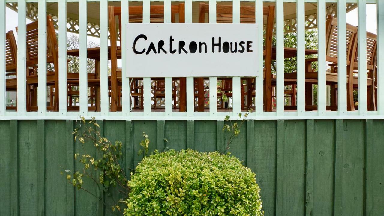 Cartron House Bed & Breakfast Ballinakill  Dış mekan fotoğraf