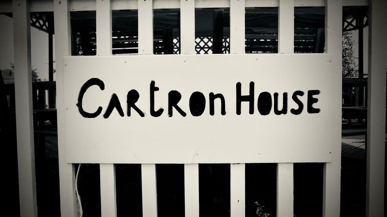Cartron House Bed & Breakfast Ballinakill  Dış mekan fotoğraf