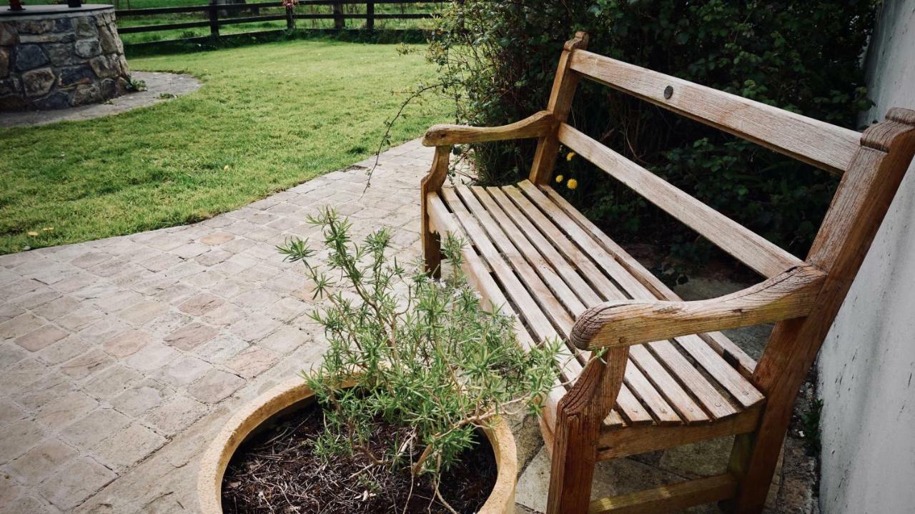 Cartron House Bed & Breakfast Ballinakill  Dış mekan fotoğraf