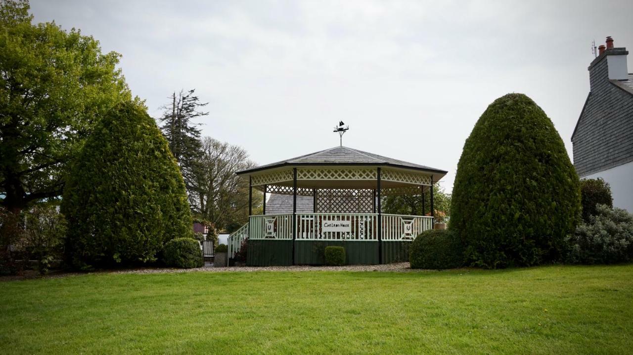 Cartron House Bed & Breakfast Ballinakill  Dış mekan fotoğraf